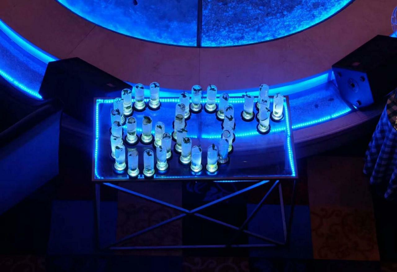 Ramada Plaza Optics Valley Hotel Wuhan Luaran gambar
